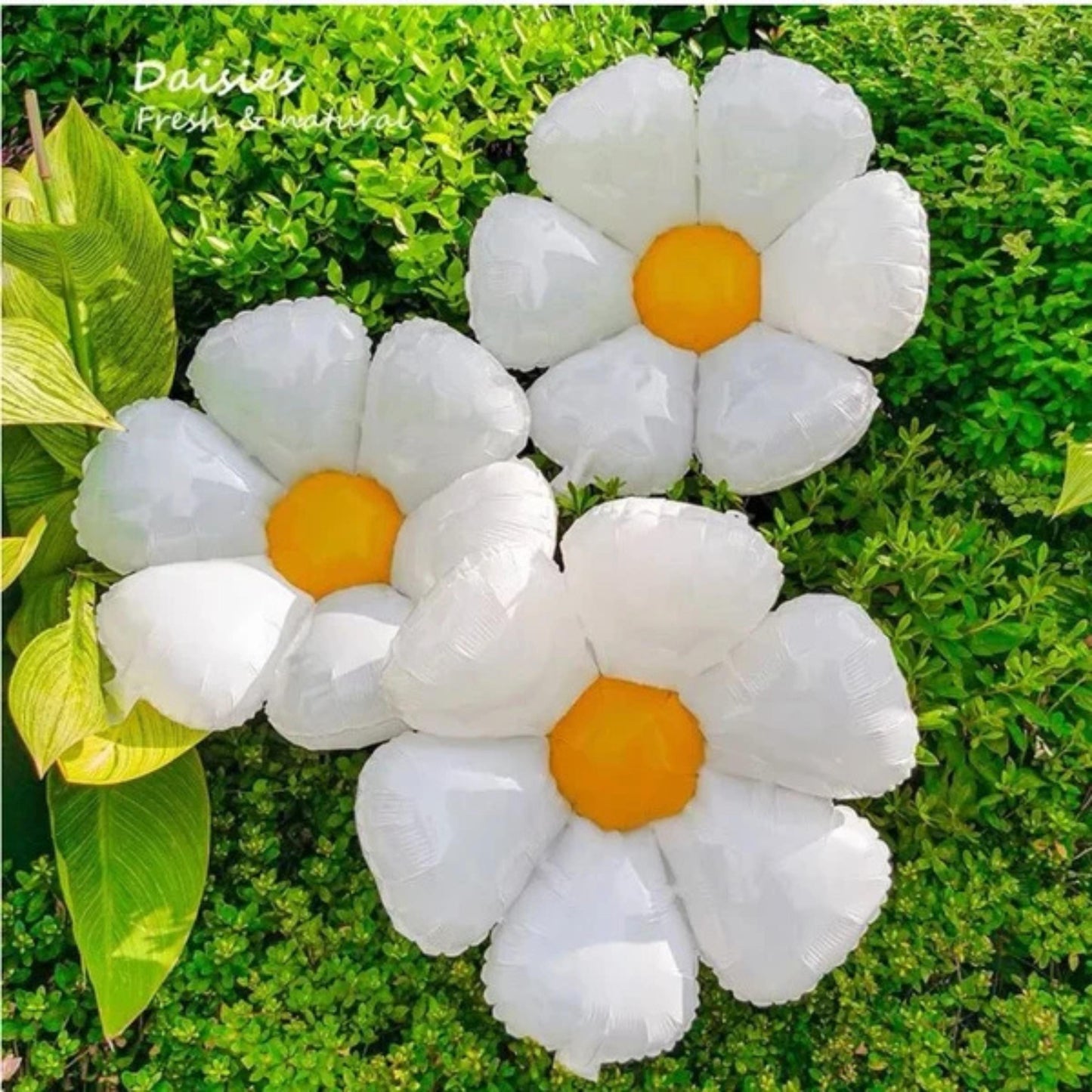 Daisy Foil Balloon Pack - 3pcs