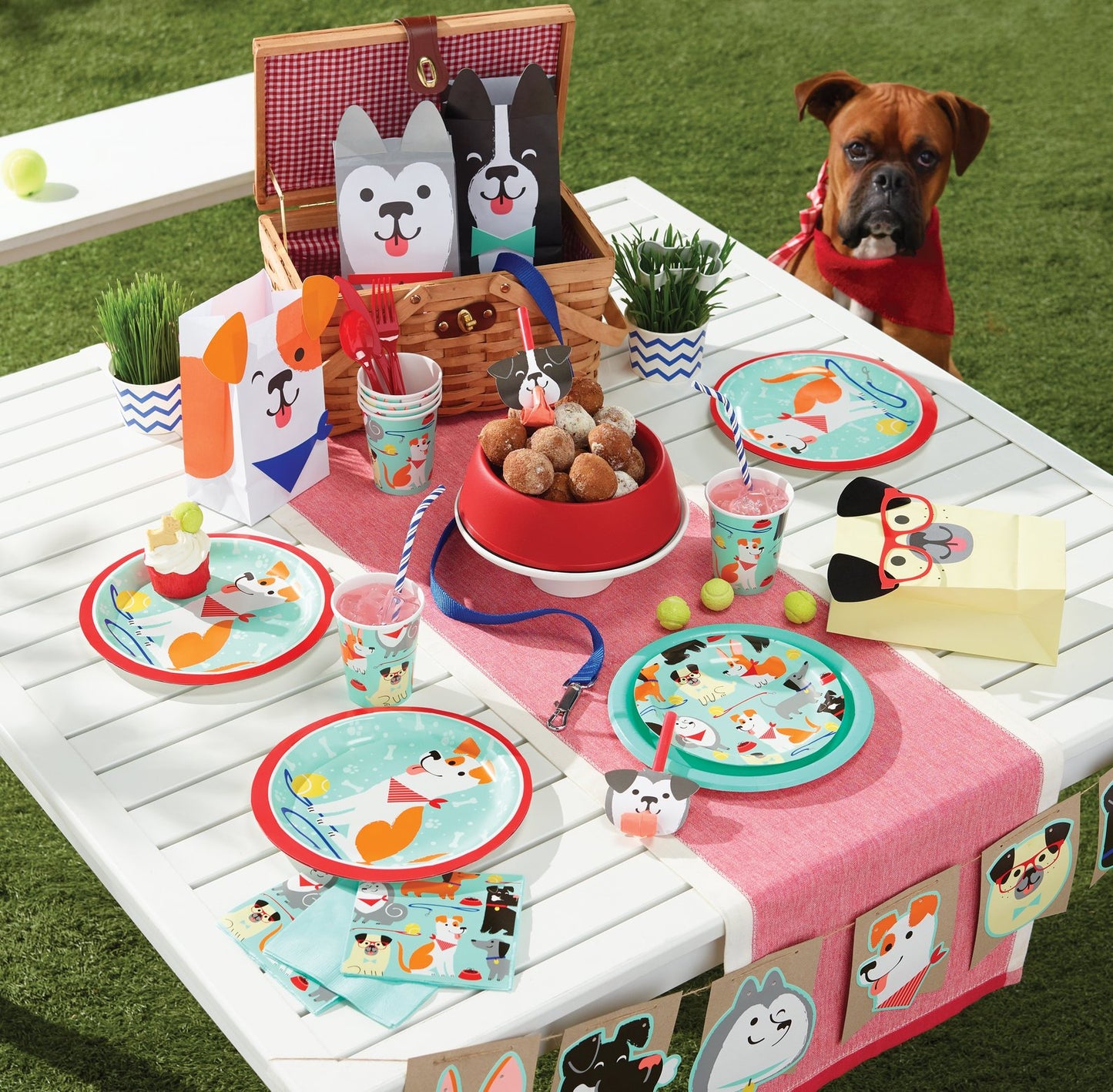 Dog Party Dinner Plates - 8ct