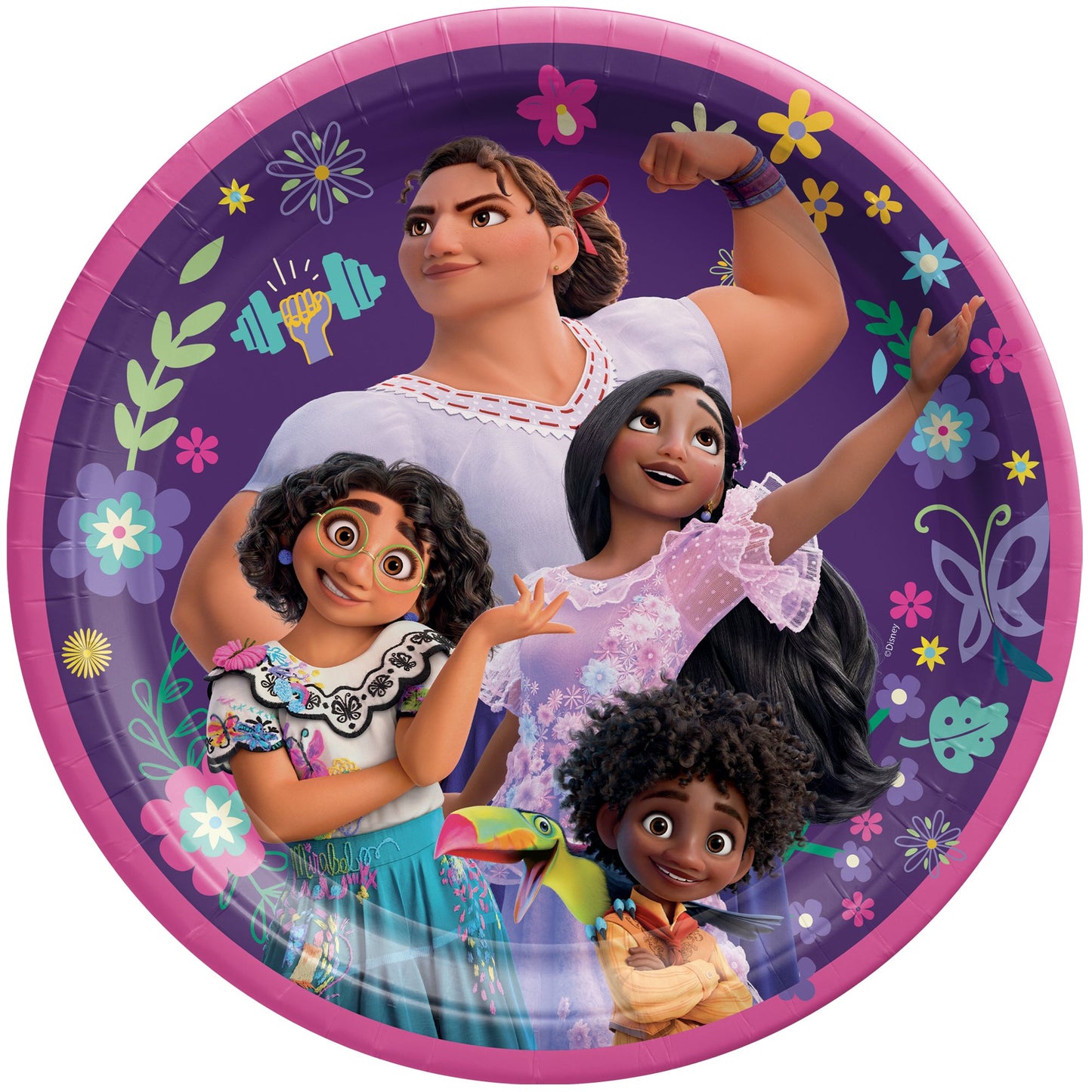 Disney Encanto 9" Round Paper Plates - 8ct