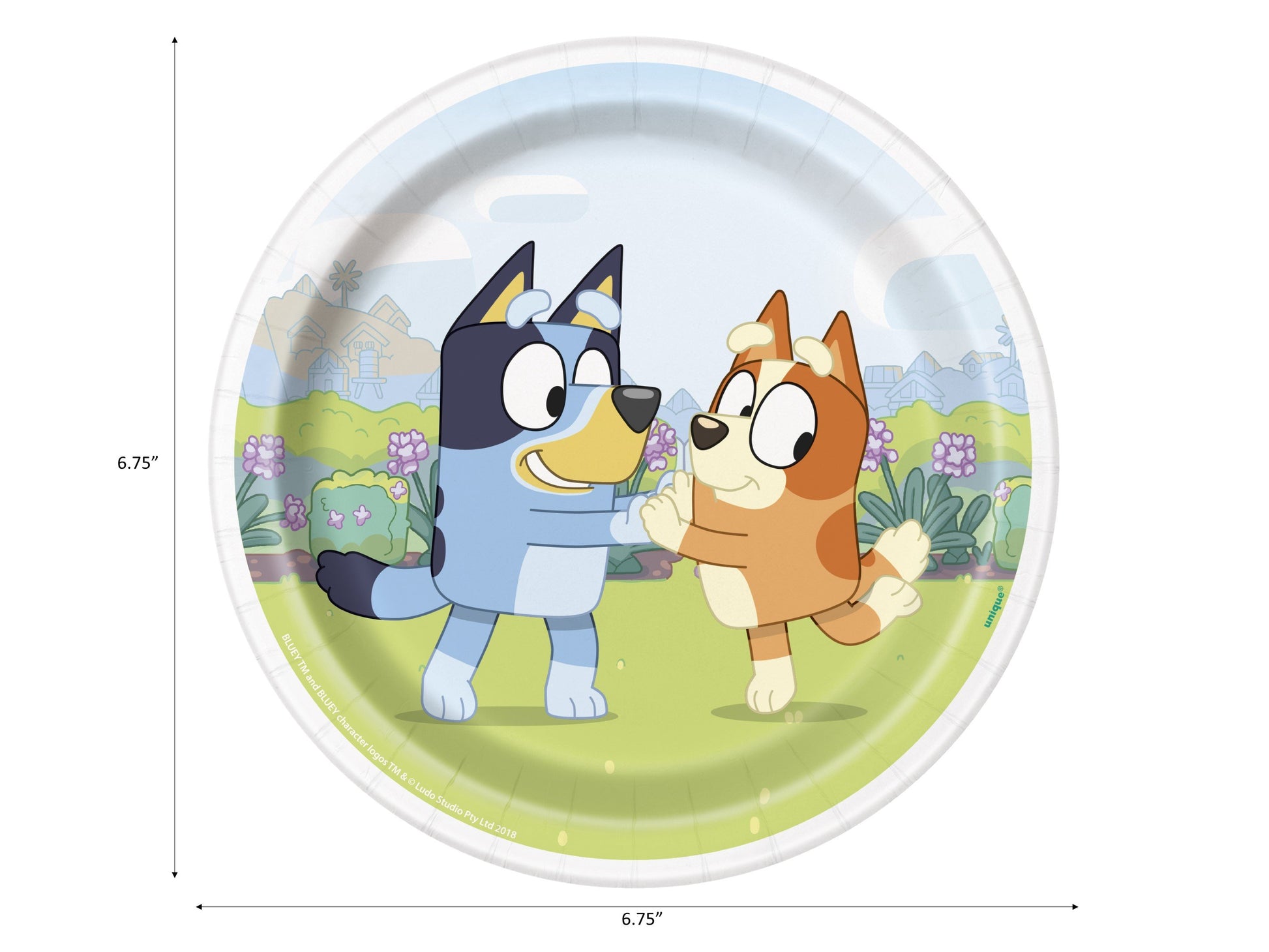 Bluey Cake Plates