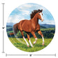 Horse and Pony Wild Horse Paper Plates - 8ct