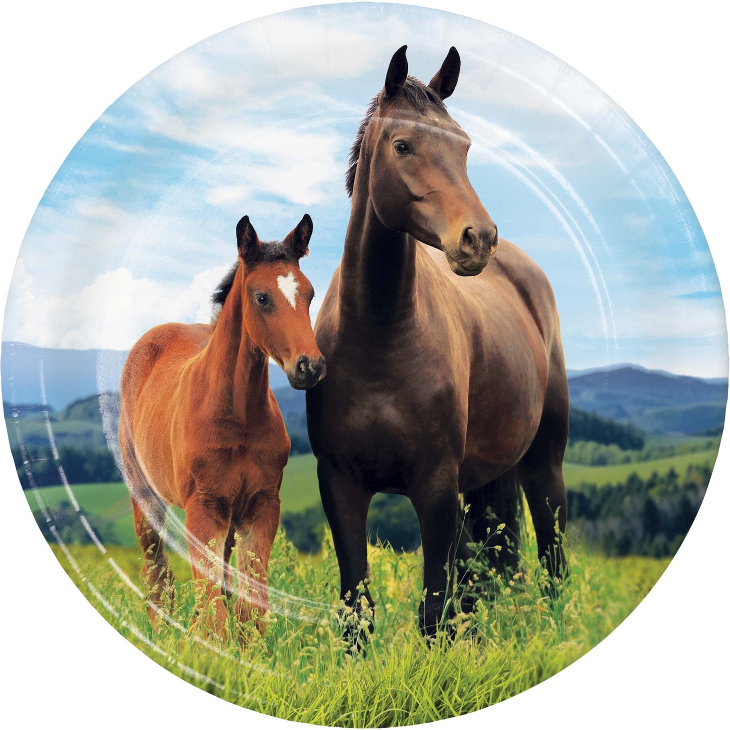 Horse and Pony Wild Horse Dessert Plates - 8ct