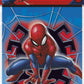 Spider-Man Loot Bags - 8ct