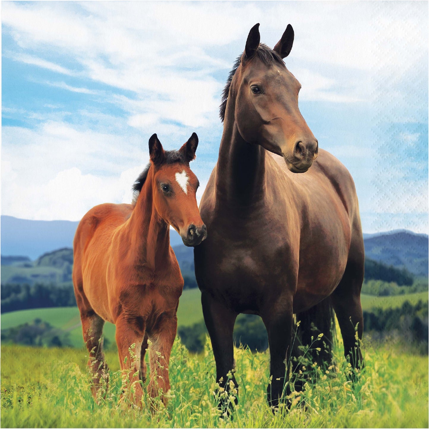 Horse and Pony Wild Horse Napkins - 16ct