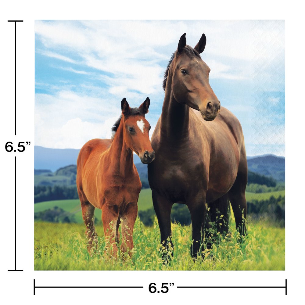 Horse and Pony Wild Horse Napkins - 16ct