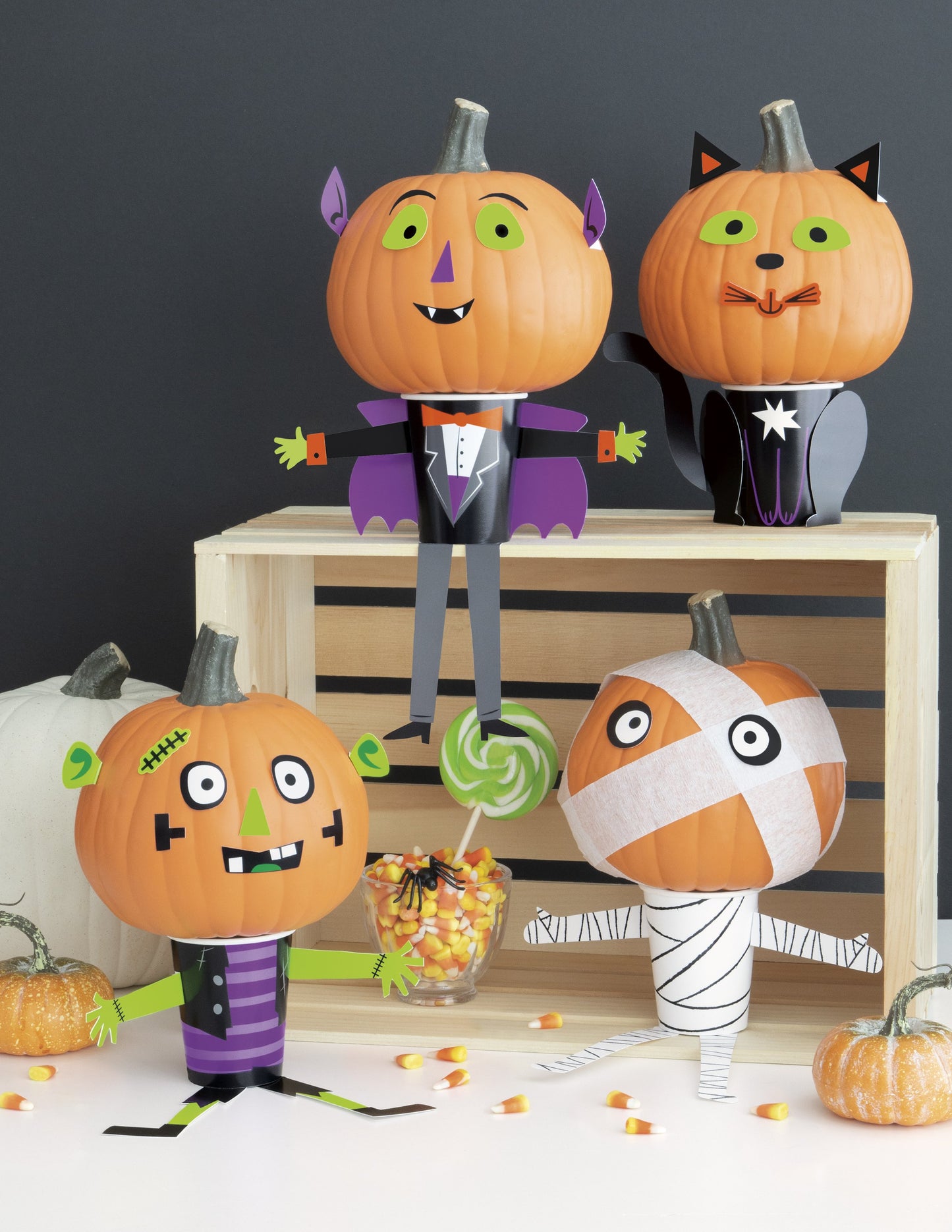 DIY Mini Pumpkin Decorating Kit - 50pc - Enough for 4 Pumpkins