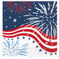 Patriotic Fireworks 4th of July Party Supplies Pack | Patriotic Fireworks Plates | Patriotic Fireworks Napkins | Patriotic Plates | Patriotic Napkins